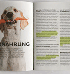 Booklet MERA in Kooperation mit DOGS, Uhlig PR