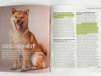 Booklet MERA in Kooperation mit DOGS, Uhlig PR