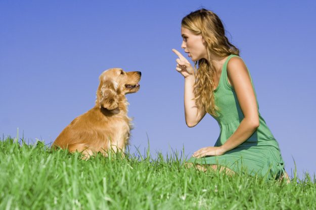 Frau gibt Hund Kommandos